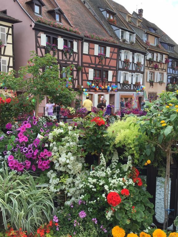 Les Appartements De Home Petite Venise Colmar Exterior photo