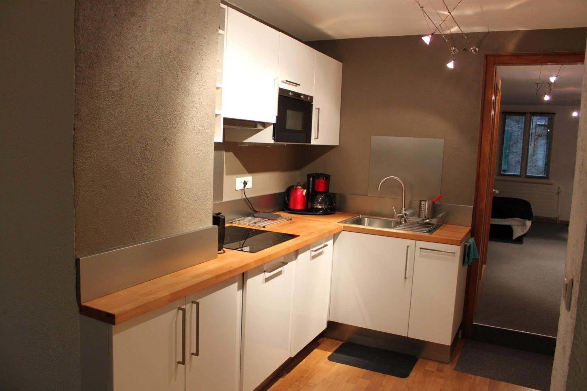 Les Appartements De Home Petite Venise Colmar Exterior photo