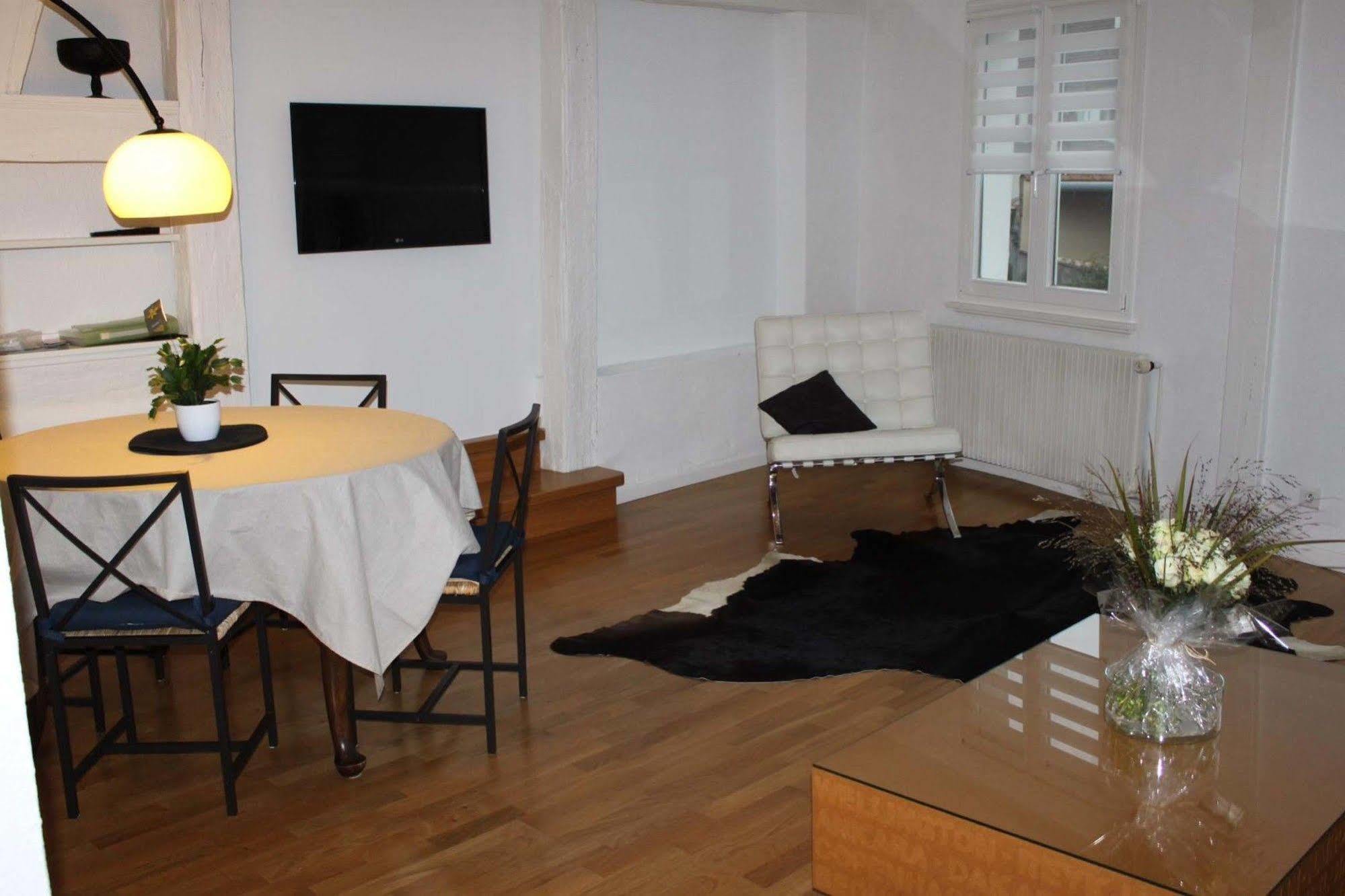 Les Appartements De Home Petite Venise Colmar Exterior photo