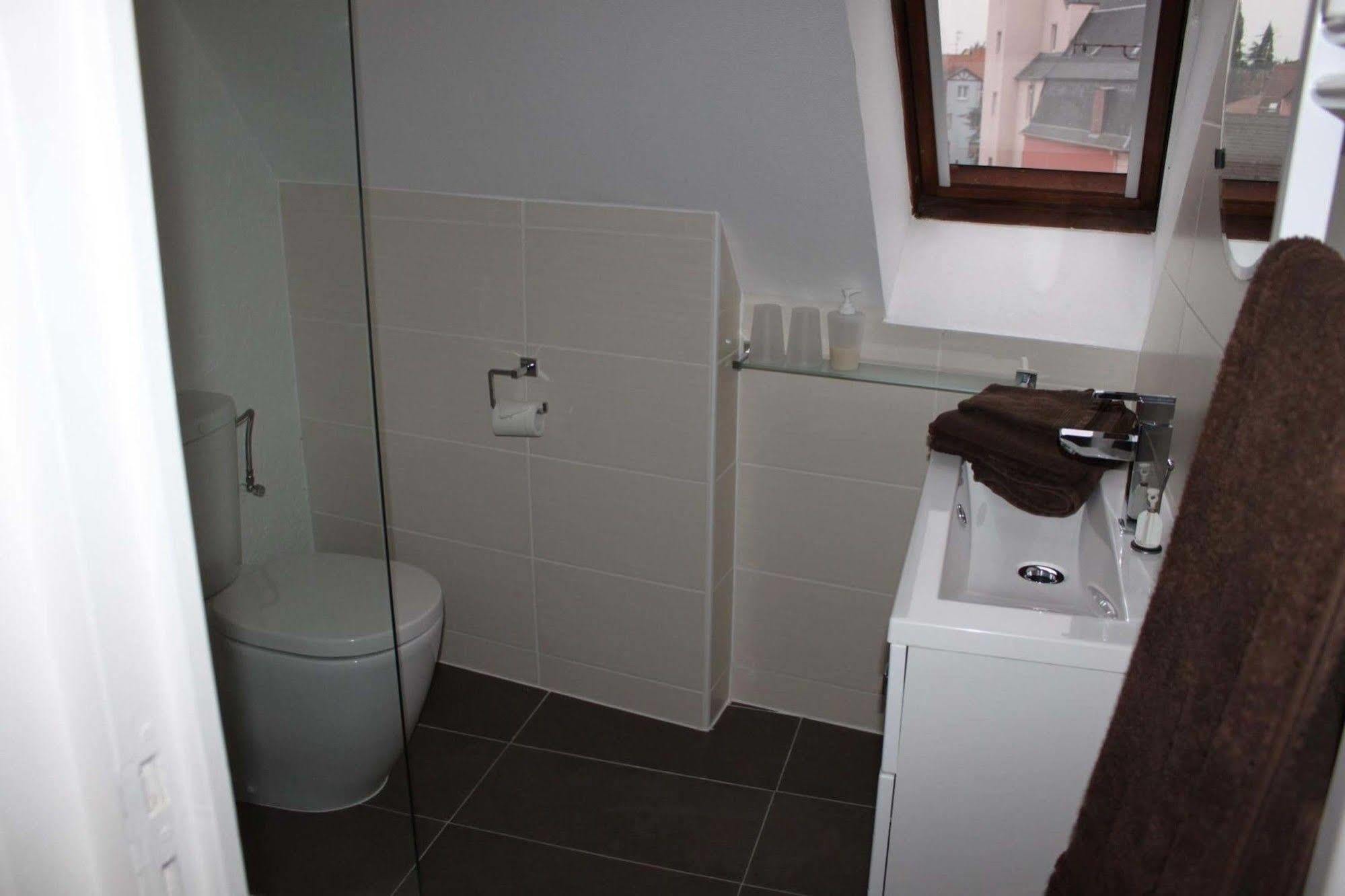 Les Appartements De Home Petite Venise Colmar Exterior photo