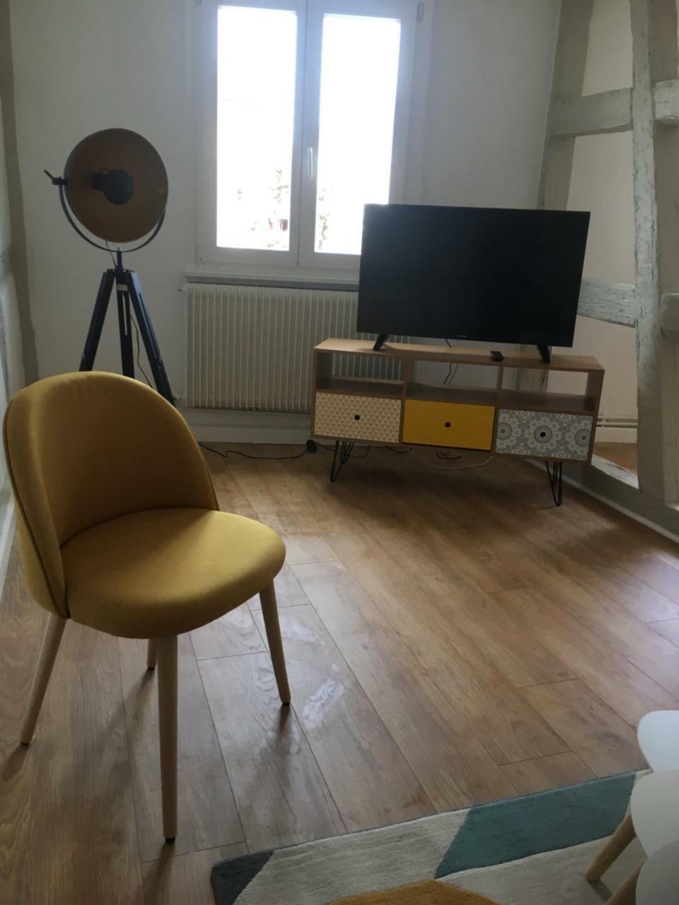 Les Appartements De Home Petite Venise Colmar Exterior photo