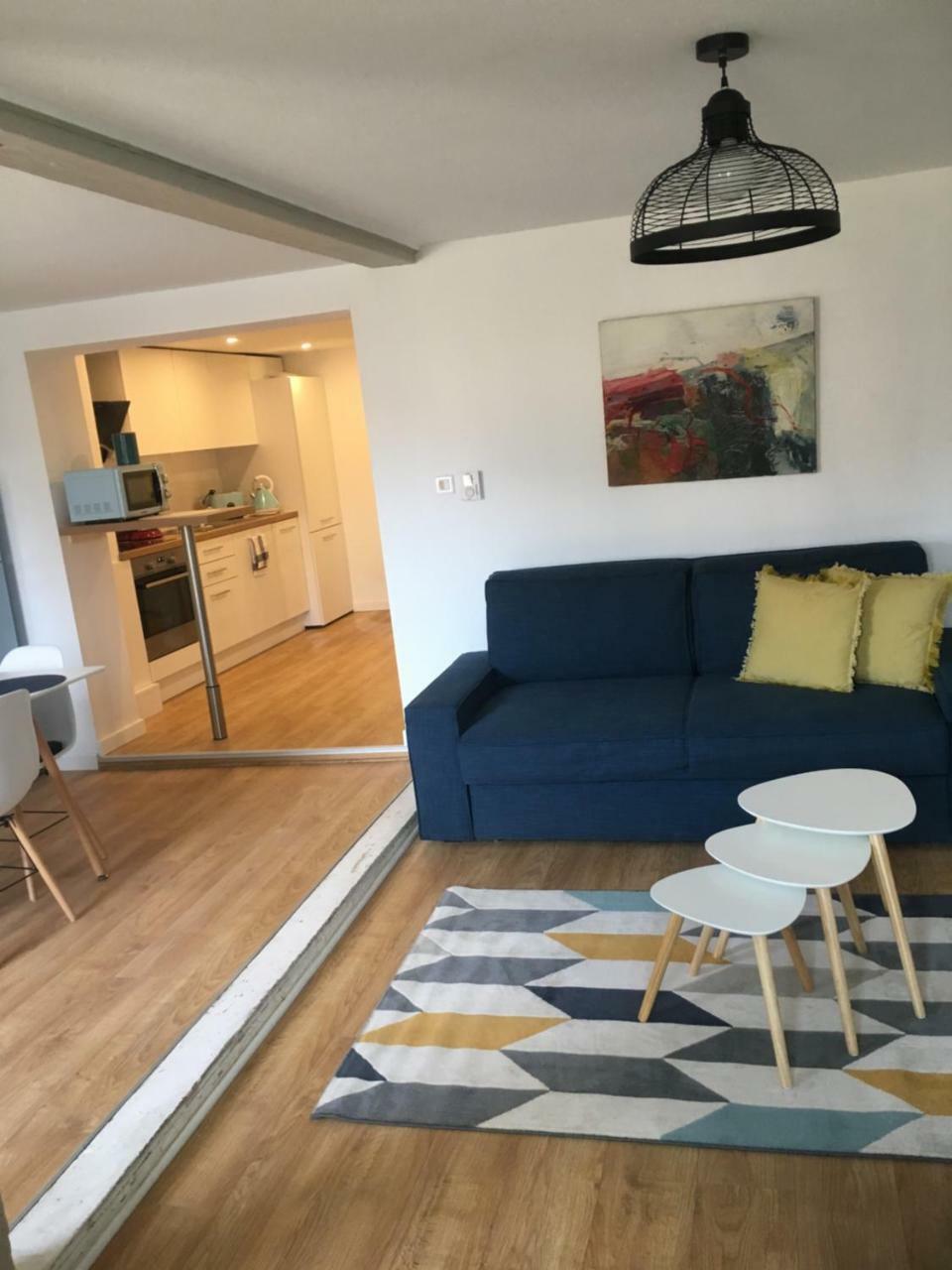 Les Appartements De Home Petite Venise Colmar Exterior photo