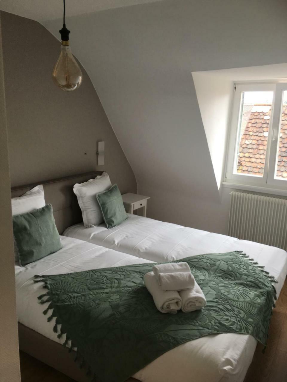 Les Appartements De Home Petite Venise Colmar Exterior photo